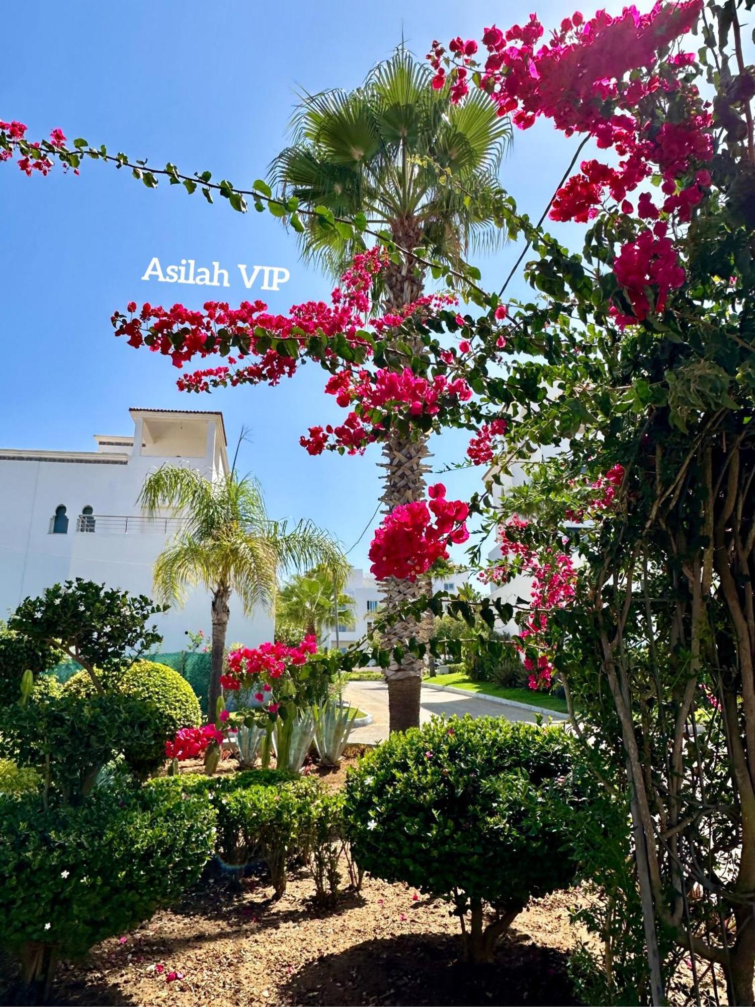 Asilah Vip - Haut Standing - Vue Mer - Piscines - Plage A 5 Minute - Garage Privee - Acces Pmr 外观 照片