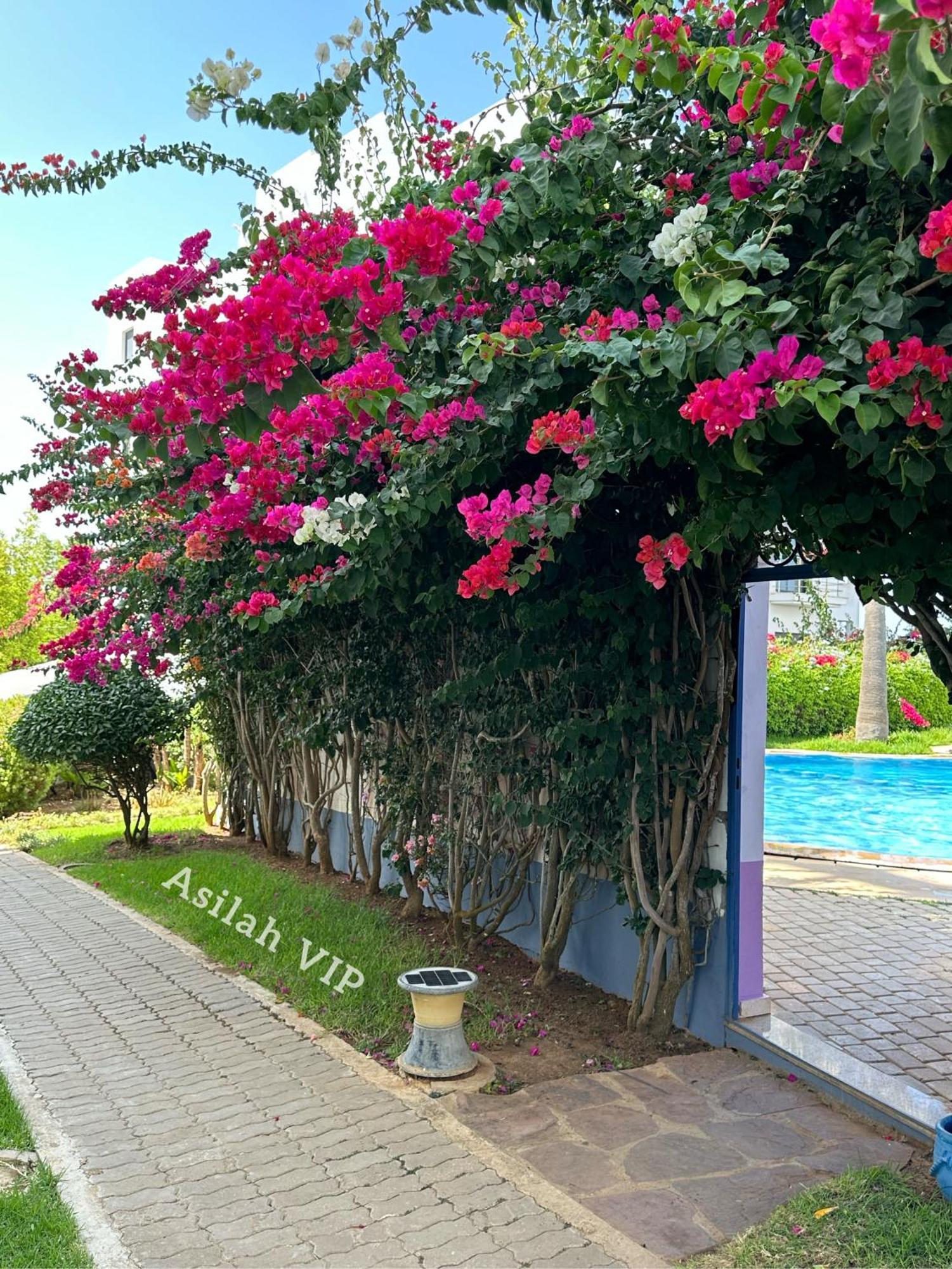 Asilah Vip - Haut Standing - Vue Mer - Piscines - Plage A 5 Minute - Garage Privee - Acces Pmr 外观 照片