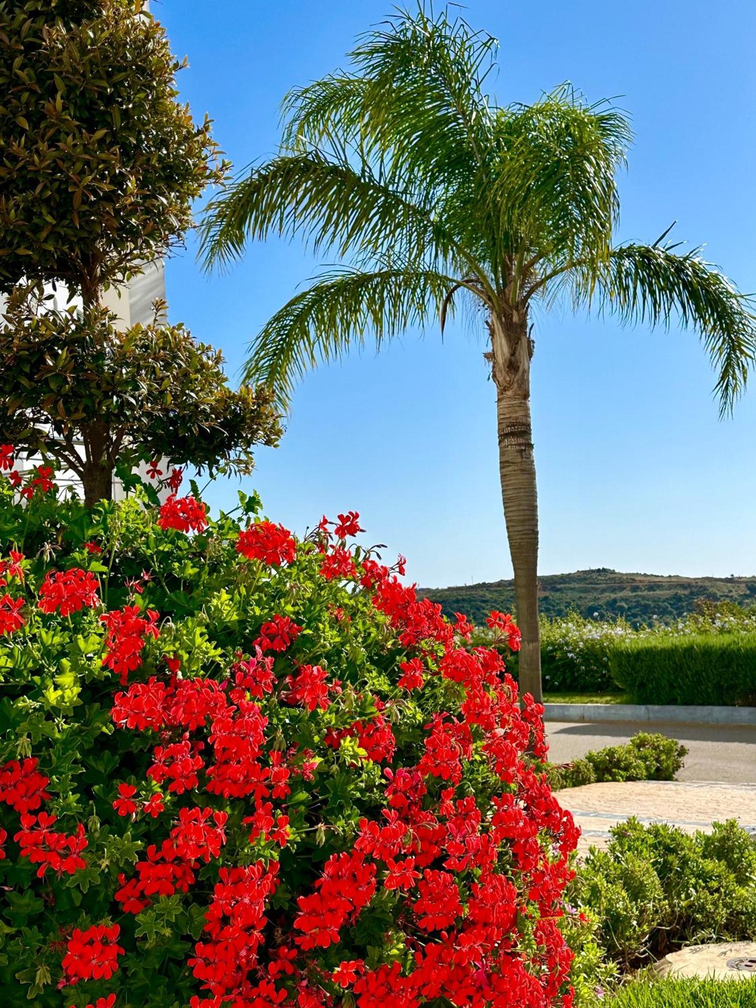 Asilah Vip - Haut Standing - Vue Mer - Piscines - Plage A 5 Minute - Garage Privee - Acces Pmr 外观 照片